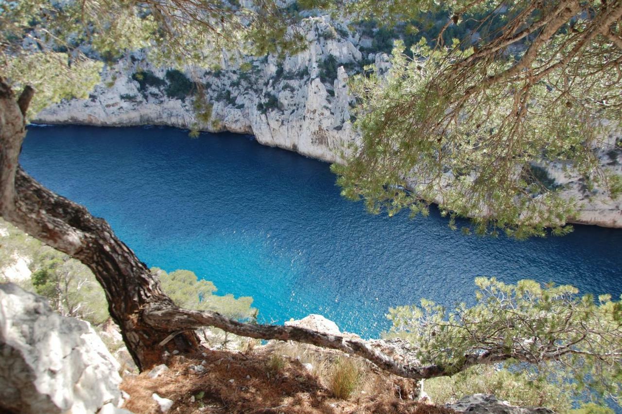 Azur Cassis Διαμέρισμα Εξωτερικό φωτογραφία